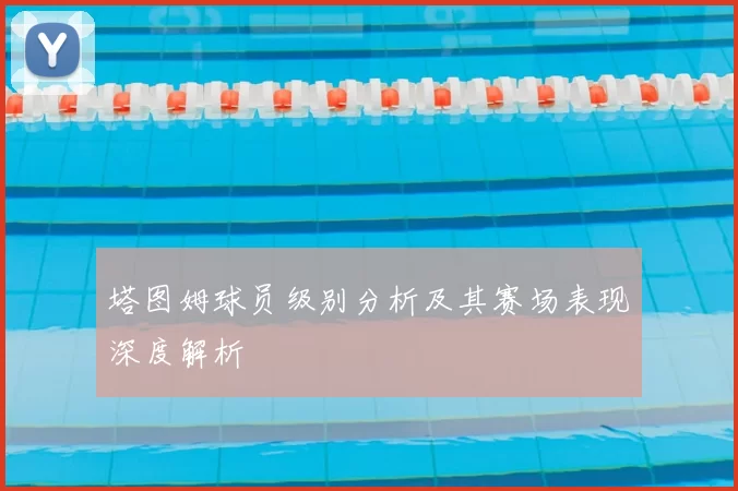 塔图姆球员级别分析及其赛场表现深度解析