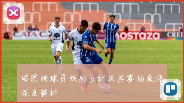 塔图姆球员级别分析及其赛场表现深度解析